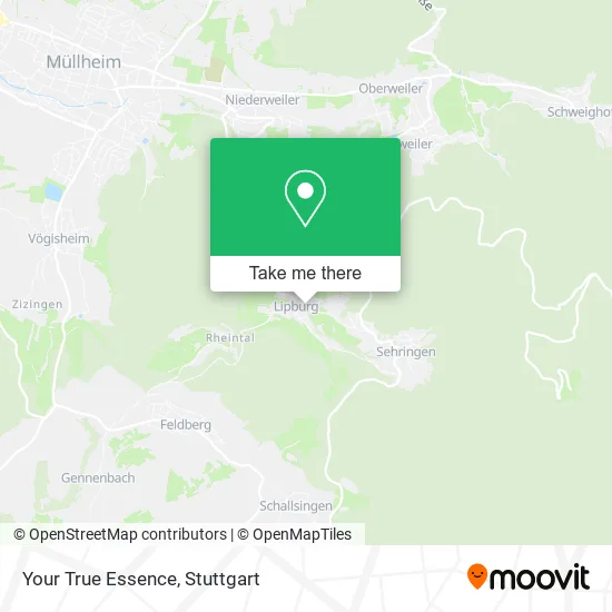 Карта Your True Essence