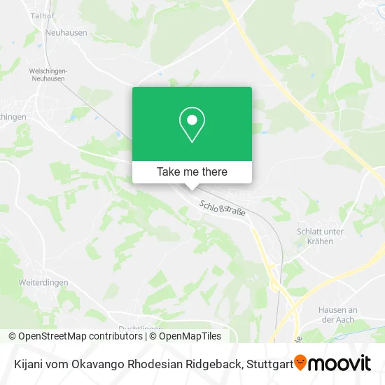 Карта Kijani vom Okavango Rhodesian Ridgeback