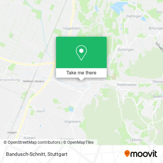 Карта Bandusch-Schnitt