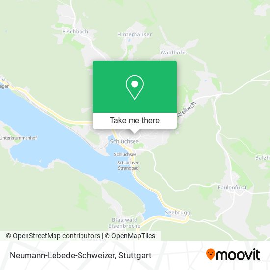 Neumann-Lebede-Schweizer map
