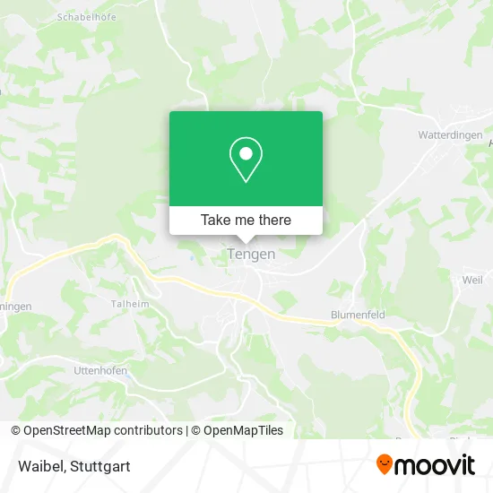 Карта Waibel