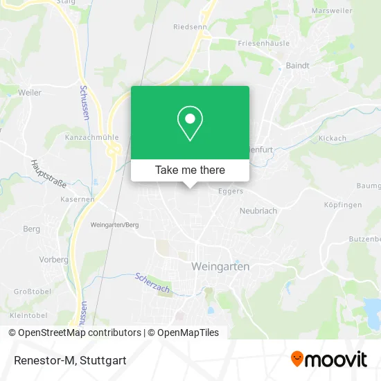 Карта Renestor-M