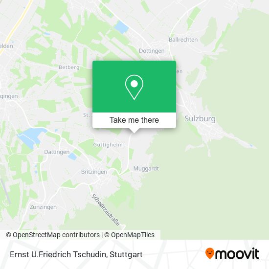 Ernst U.Friedrich Tschudin map