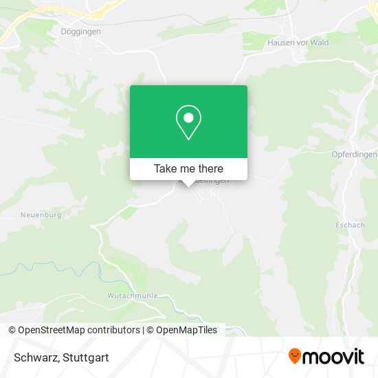 Schwarz map