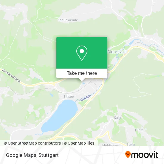 Карта Google Maps