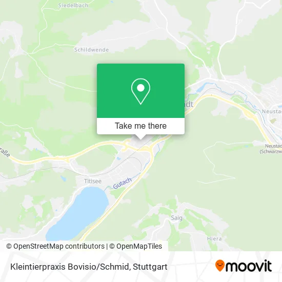 Карта Kleintierpraxis Bovisio/Schmid