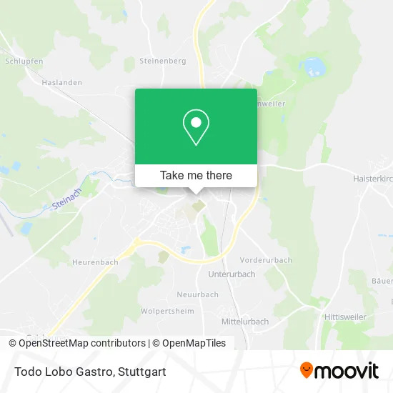 Карта Todo Lobo Gastro
