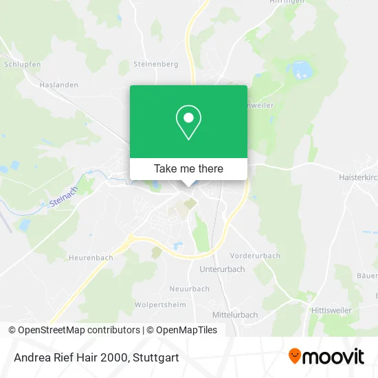 Карта Andrea Rief Hair 2000