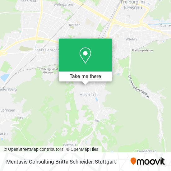 Карта Mentavis Consulting Britta Schneider