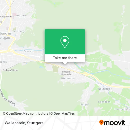 Wellenstein map