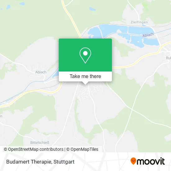 Карта Budamert Therapie