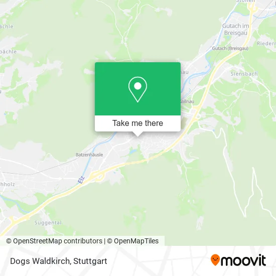 Карта Dogs Waldkirch