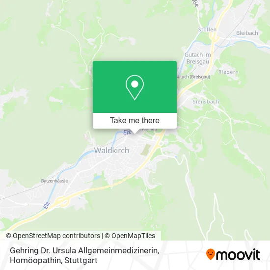 Карта Gehring Dr. Ursula Allgemeinmedizinerin, Homöopathin