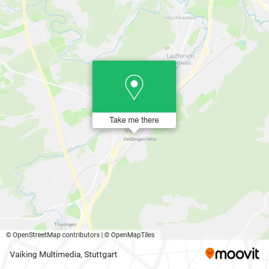 Карта Vaiking Multimedia