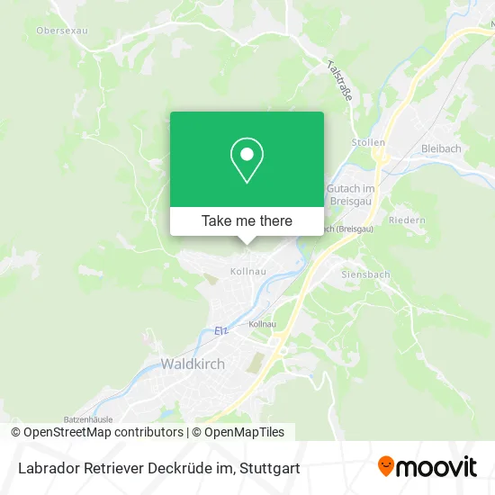 Карта Labrador Retriever Deckrüde im