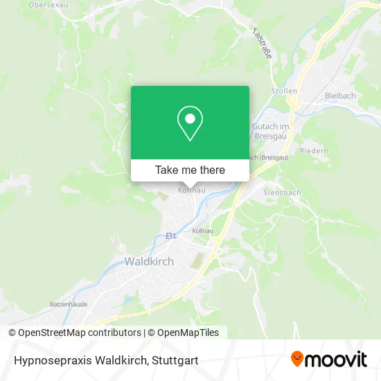 Карта Hypnosepraxis Waldkirch