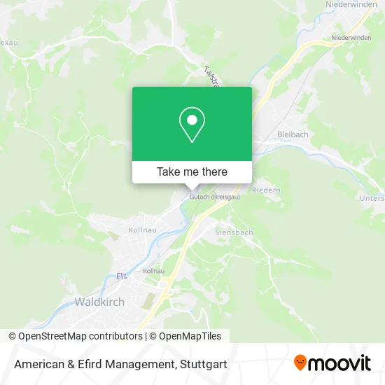 Карта American & Efird Management