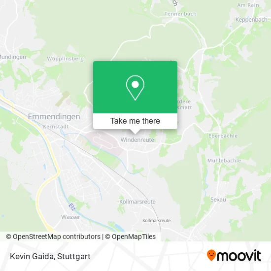 Карта Kevin Gaida
