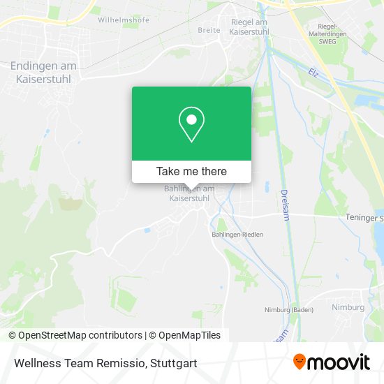 Карта Wellness Team Remissio