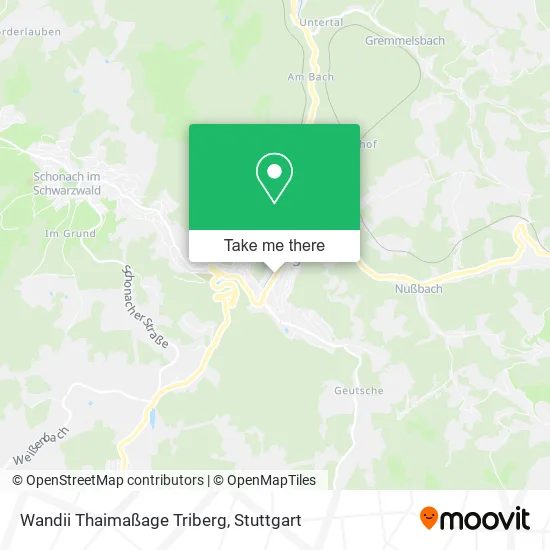 Карта Wandii Thaimaßage Triberg