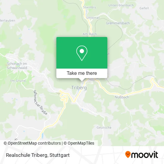 Карта Realschule Triberg