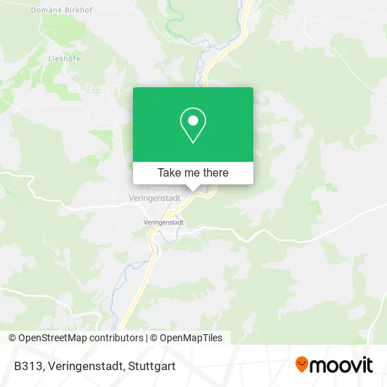 Карта B313, Veringenstadt