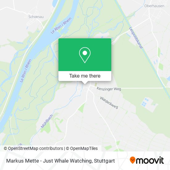 Markus Mette - Just Whale Watching map