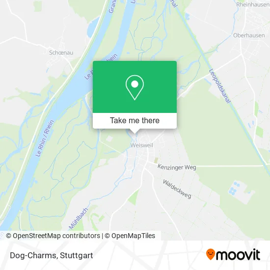 Карта Dog-Charms