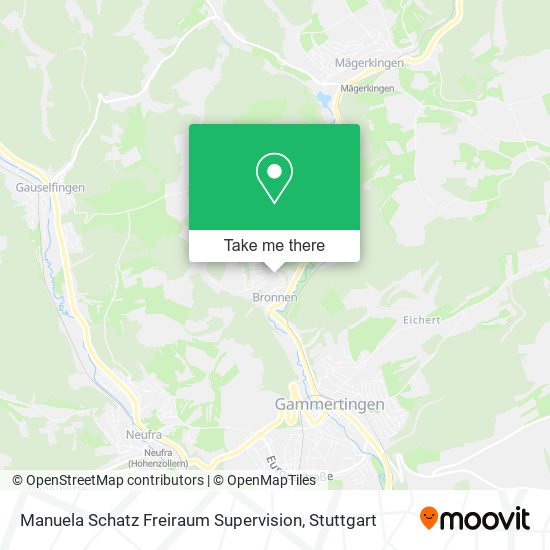 Manuela Schatz Freiraum Supervision map