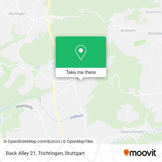 Back Alley 21, Trichtingen map