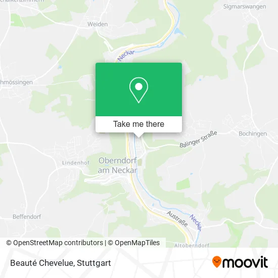 Карта Beauté Chevelue