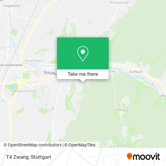 Карта T4 Zwang