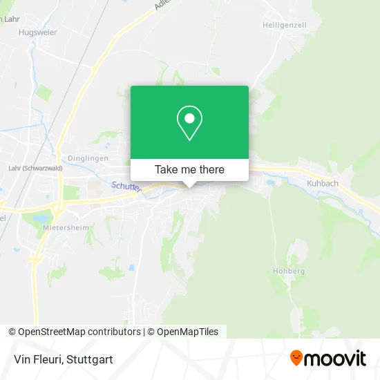 Карта Vin Fleuri