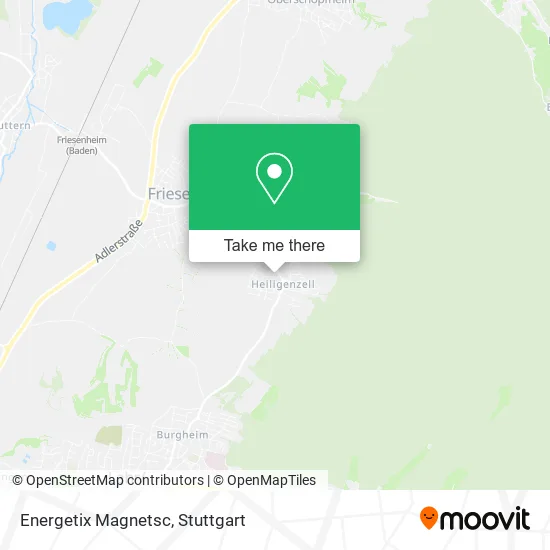 Карта Energetix Magnetsc