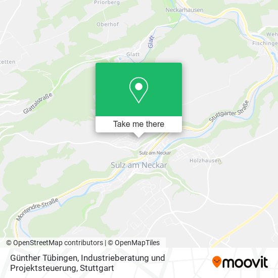 Günther Tübingen, Industrieberatung und Projektsteuerung map