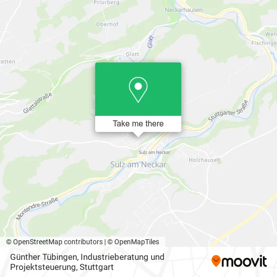 Günther Tübingen, Industrieberatung und Projektsteuerung map