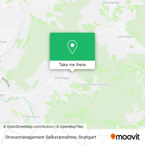 Карта Stressmanagement Selbstannahme