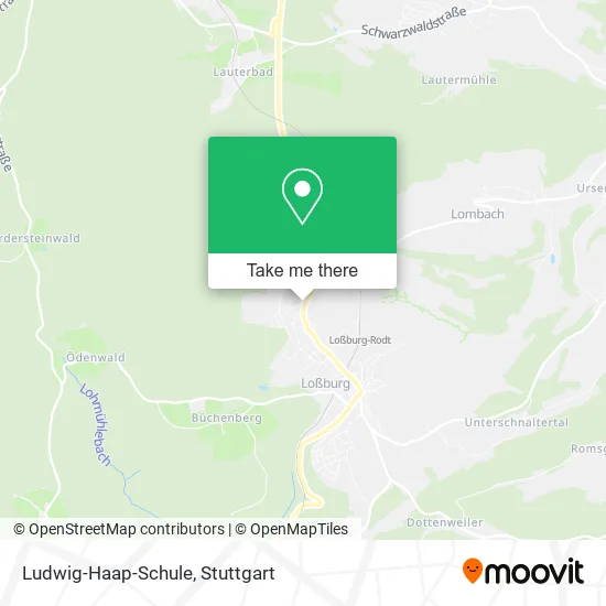 Карта Ludwig-Haap-Schule