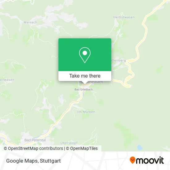 Карта Google Maps