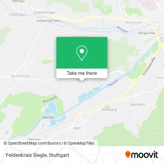 Карта Feldenkrais Siegle