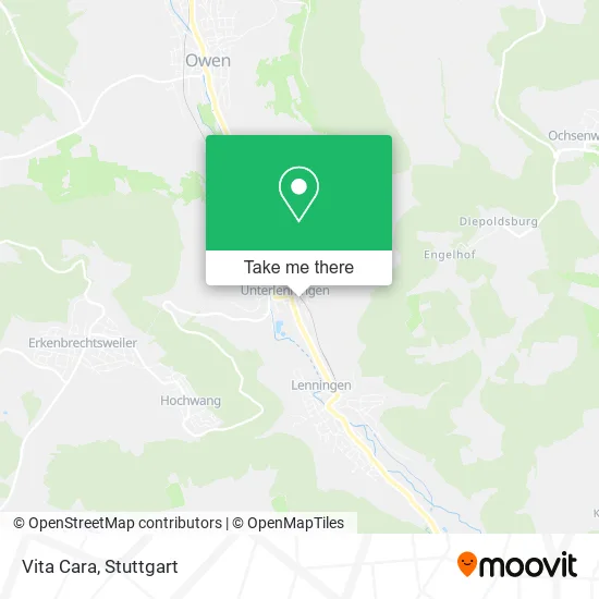 Карта Vita Cara