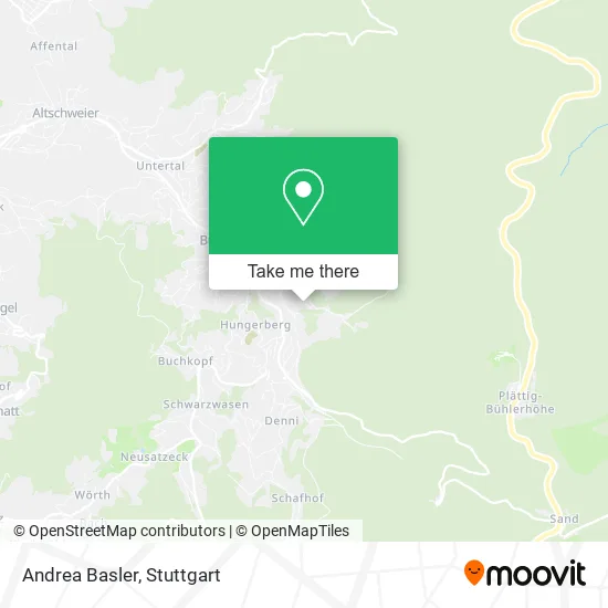 Карта Andrea Basler