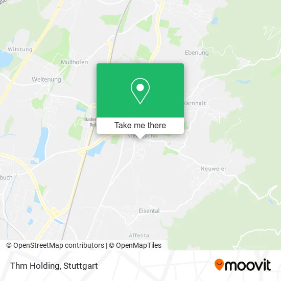 Карта Thm Holding