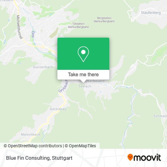 Blue Fin Consulting map