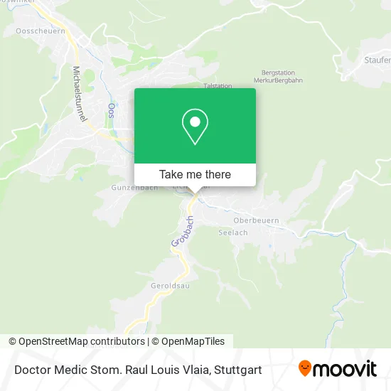 Карта Doctor Medic Stom. Raul Louis Vlaia