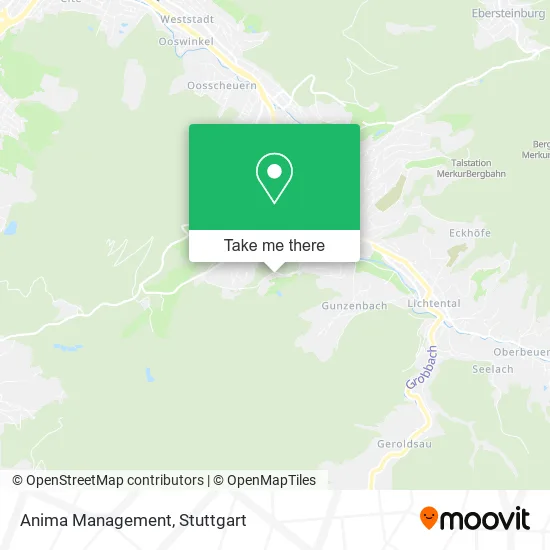 Карта Anima Management