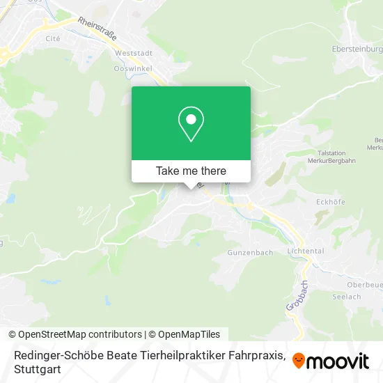 Карта Redinger-Schöbe Beate Tierheilpraktiker Fahrpraxis