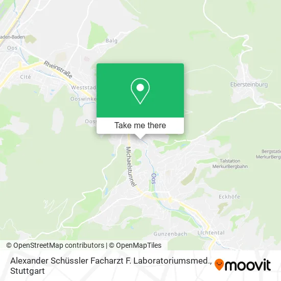 Карта Alexander Schüssler Facharzt F. Laboratoriumsmed.