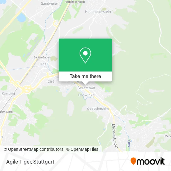 Карта Agile Tiger