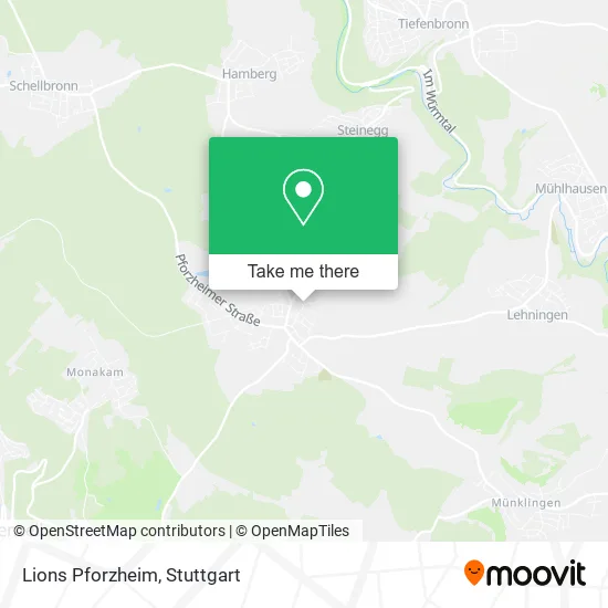Карта Lions Pforzheim